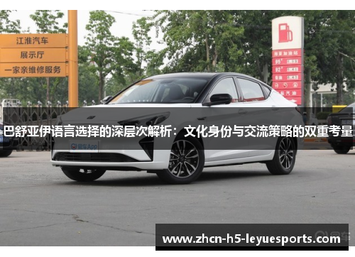 巴舒亚伊语言选择的深层次解析：文化身份与交流策略的双重考量