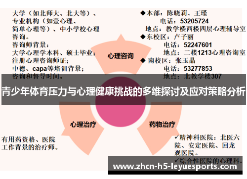 青少年体育压力与心理健康挑战的多维探讨及应对策略分析