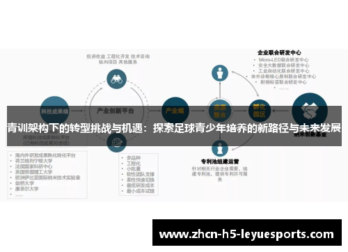 青训架构下的转型挑战与机遇：探索足球青少年培养的新路径与未来发展
